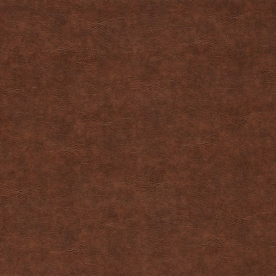 Clarke & Clarke Dawson FR Chestnut Fabric
