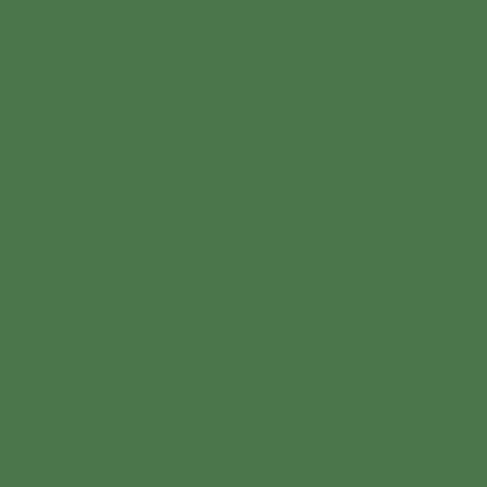 Morris & Co Paint Double Boughs