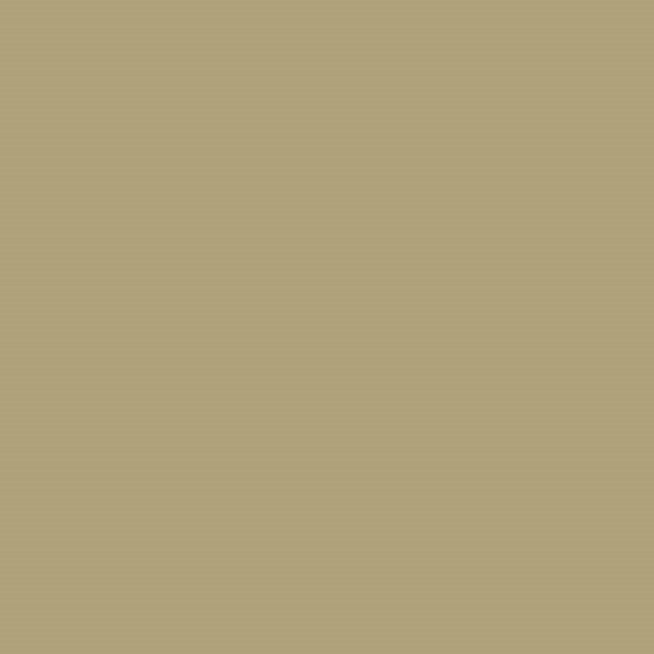 Morris & Co Paint Citrus Stone