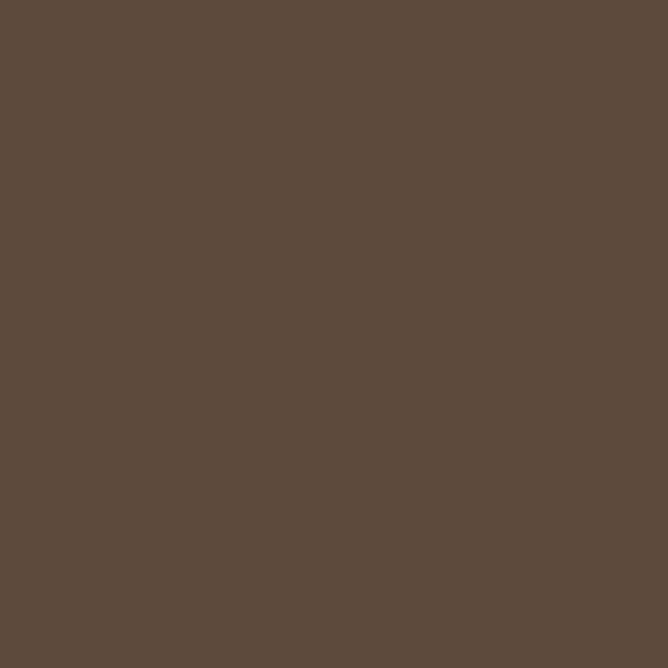 Morris & Co Paint Blackthorn
