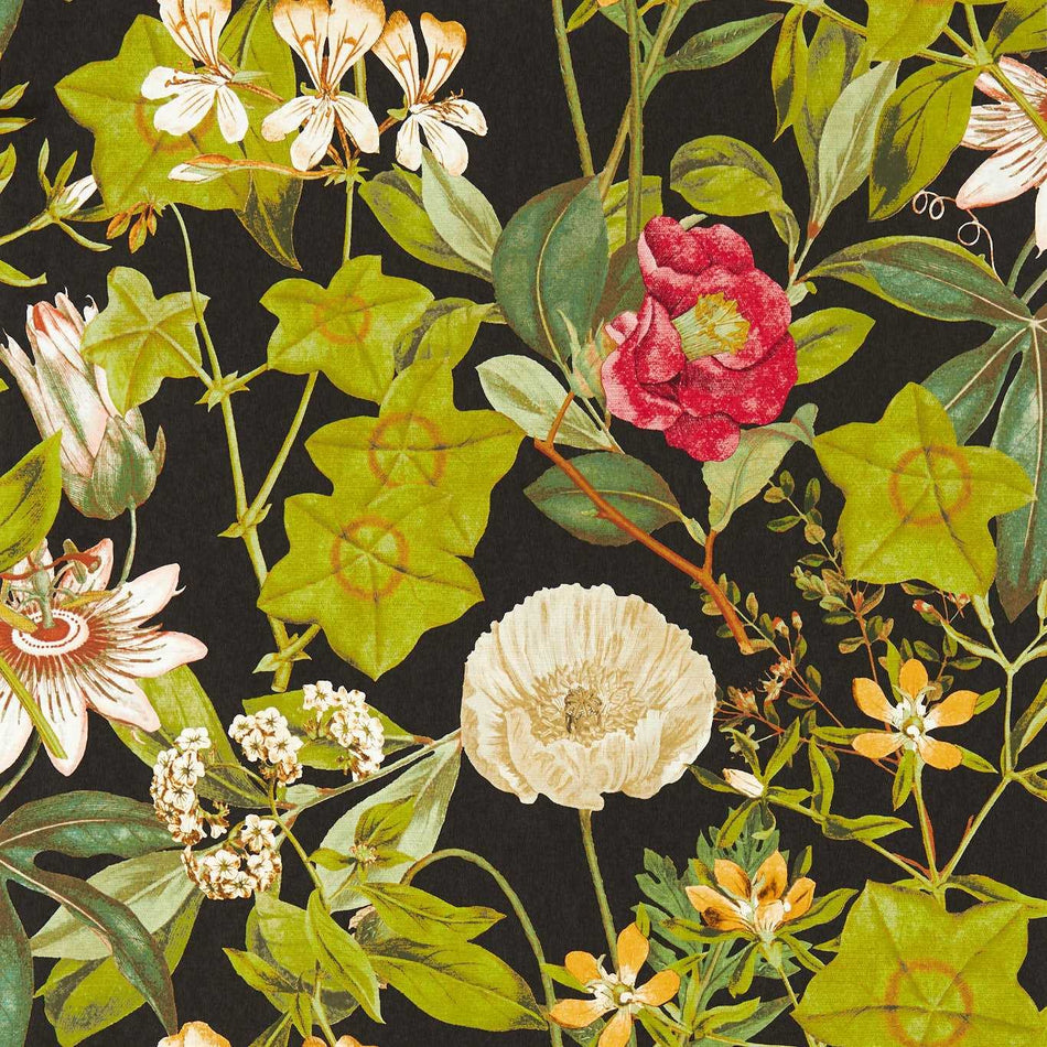 Clarke & Clarke Exotica 2 Passiflora Noir Wallpaper