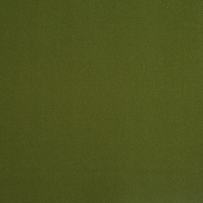 Prestigious Textiles Ingleton FR Grass Fabric