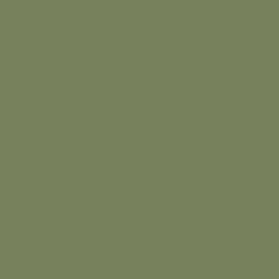 Prestigious Textiles Sunrise Evergreen Roller Blind