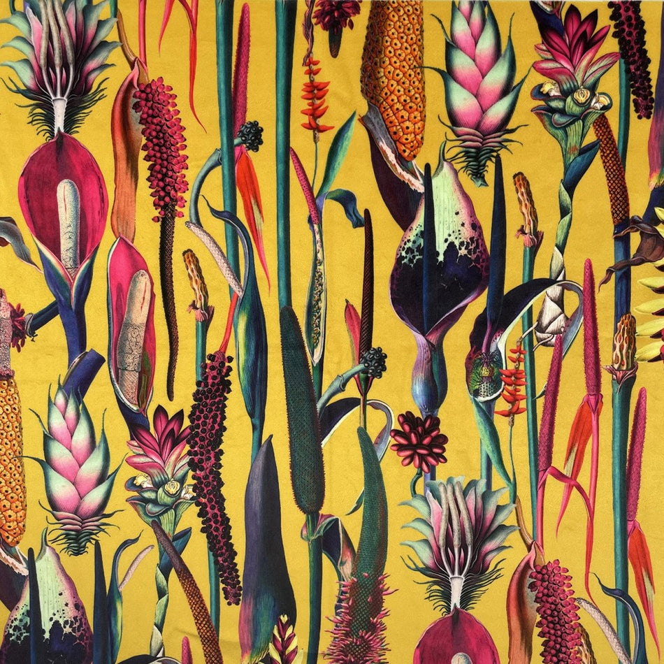 Chatham Glyn Eden Velvets Borneo Ochre Fabric