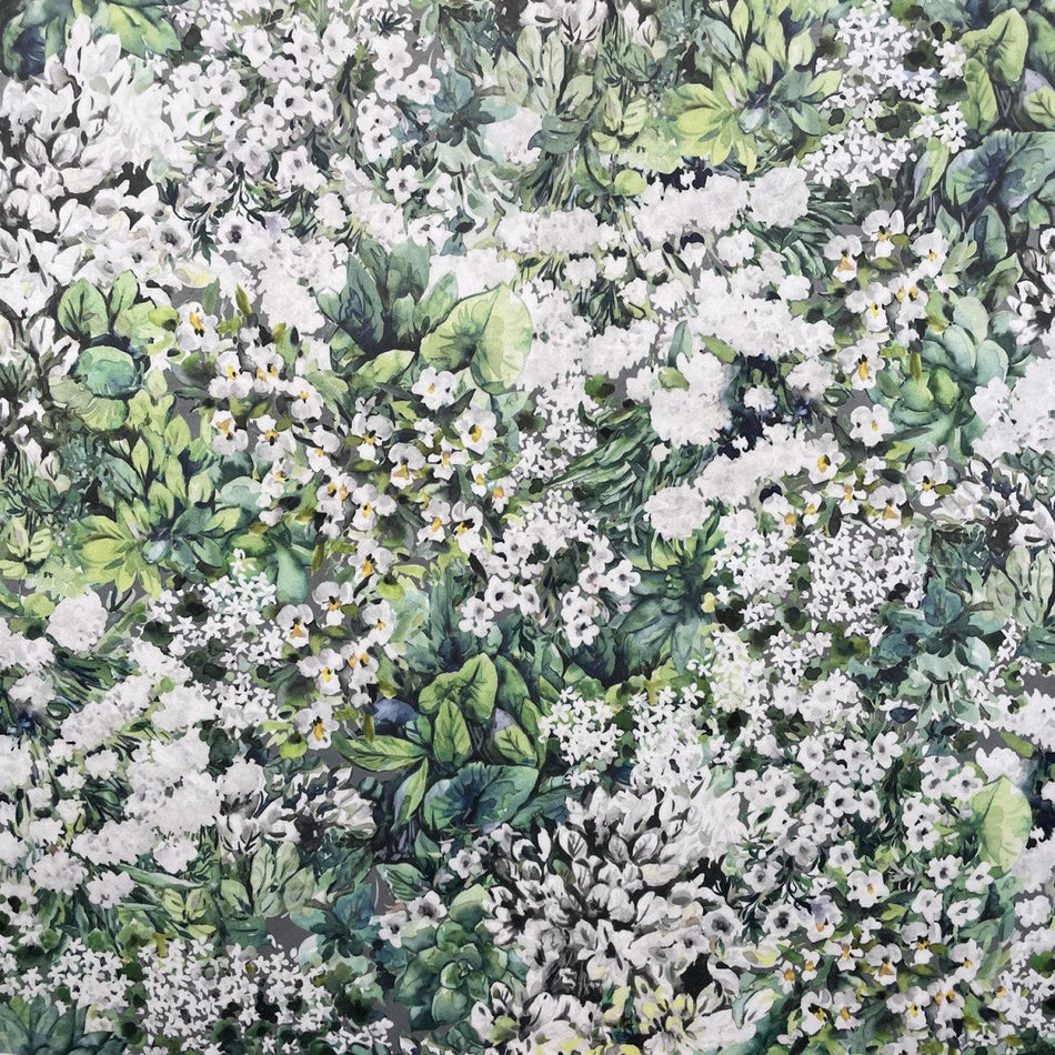 Chatham Glyn Eden Velvets Harmony Dove Fabric