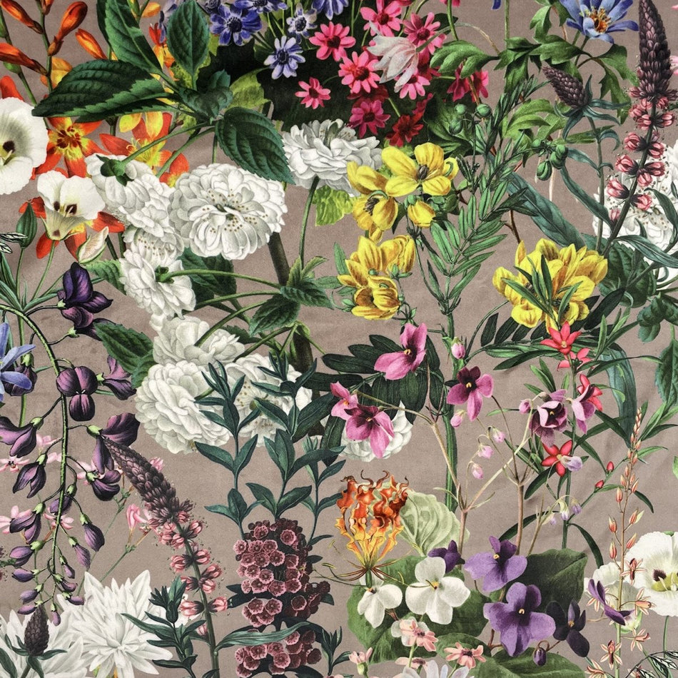 Chatham Glyn Eden Velvets Zion Dove Fabric