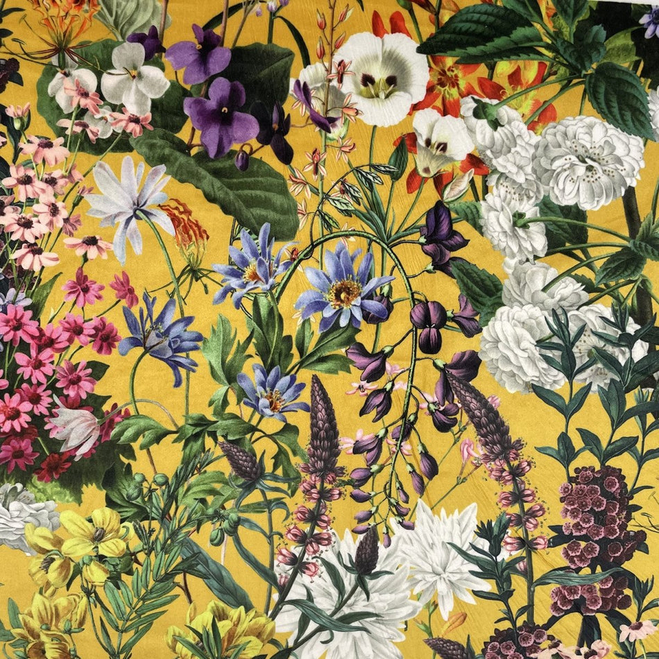 Chatham Glyn Eden Velvets Zion Ochre Fabric