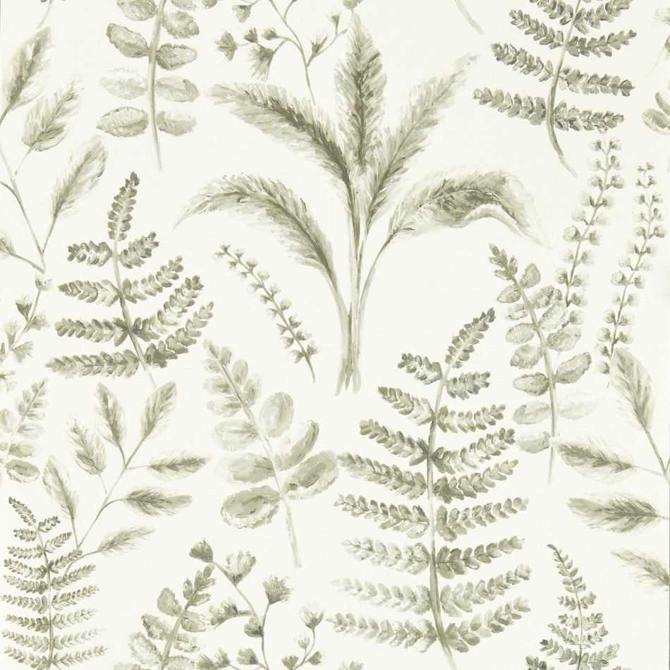 Clarke & Clarke Marianne Bracken Natural Wallpaper