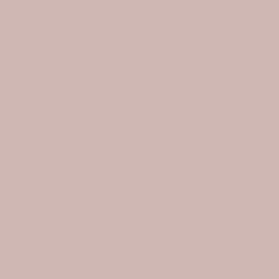 Sanderson Paint Rose Ash Light
