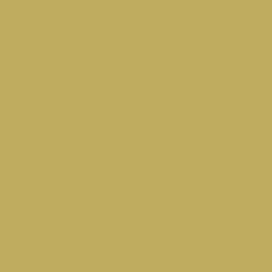 Sanderson Paint Woodland Yellow