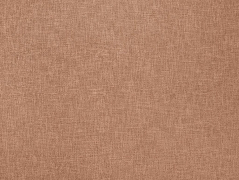 Ashley Wilde Darwin Bronte Coral Fabric