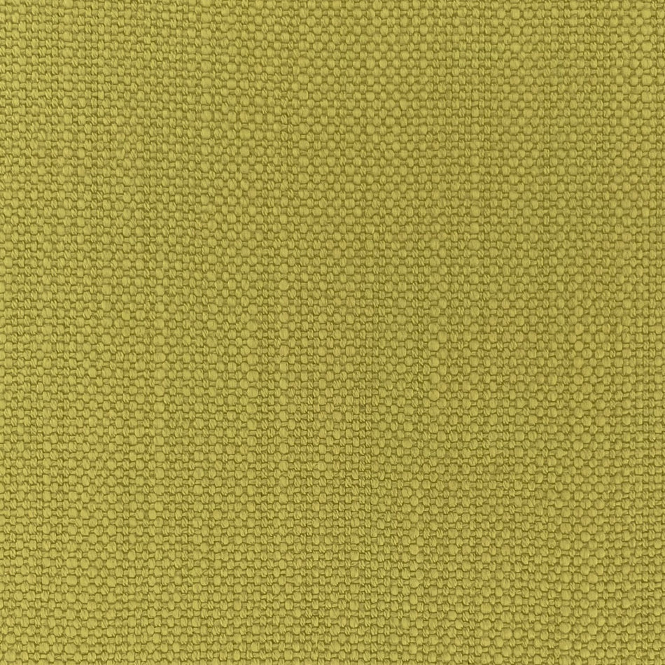 Chatham Glyn Pimlico Dried Moss Fabric
