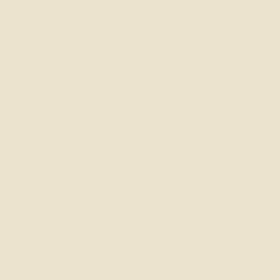Zoffany Paint Canvas