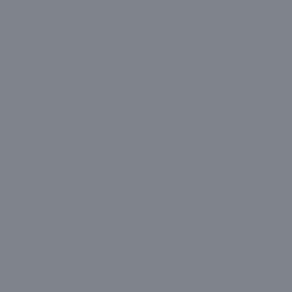 Zoffany Paint Pewter