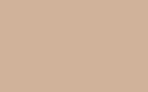 Little Greene Paint Button (27)