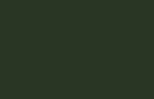Little Greene Paint Mid Bronze Green (125)