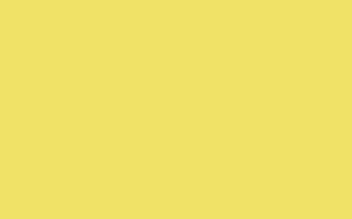 Little Greene Paint Indian Yellow (335)
