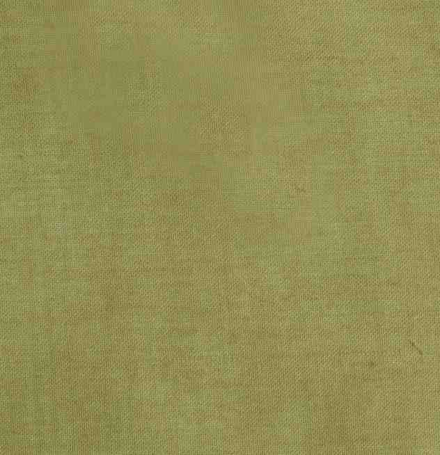Edmund Bell Illusion Avocado FR Fabric