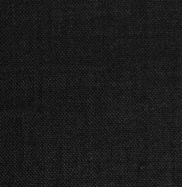 Edmund Bell Enigma Onyx FR Fabric