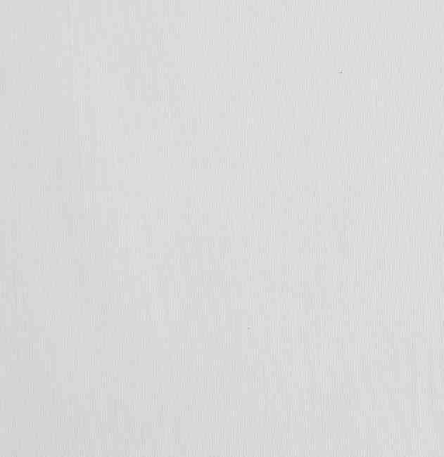 Edmund Bell Slub Voile White FR Fabric