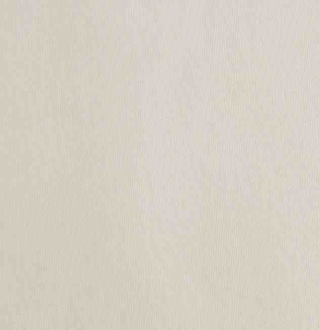 Edmund Bell Slub Voile Champagne FR Fabric