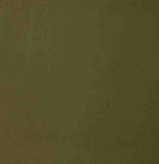 Edmund Bell Smooth Olive FR Fabric