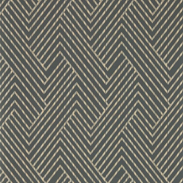 Clarke & Clarke Vivido Grassetto Charcoal Wallpaper