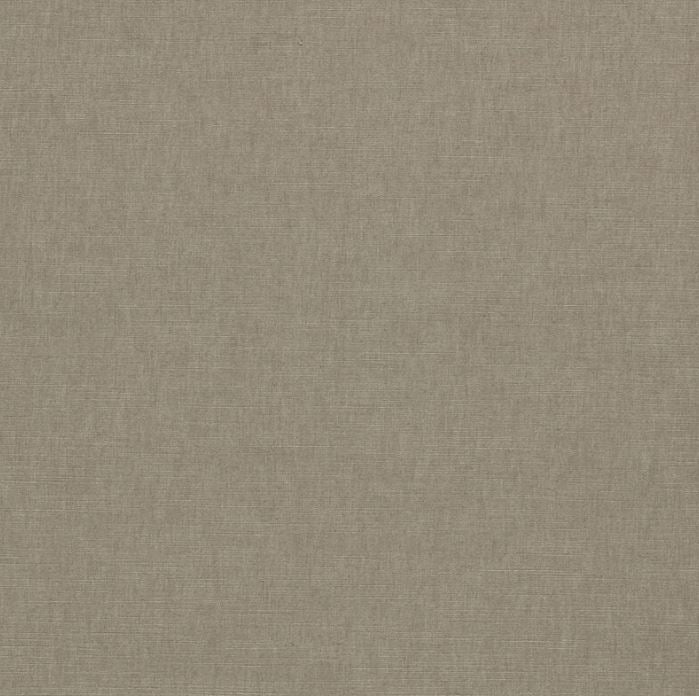 Clarke & Clarke Paradiso Ash Fabric
