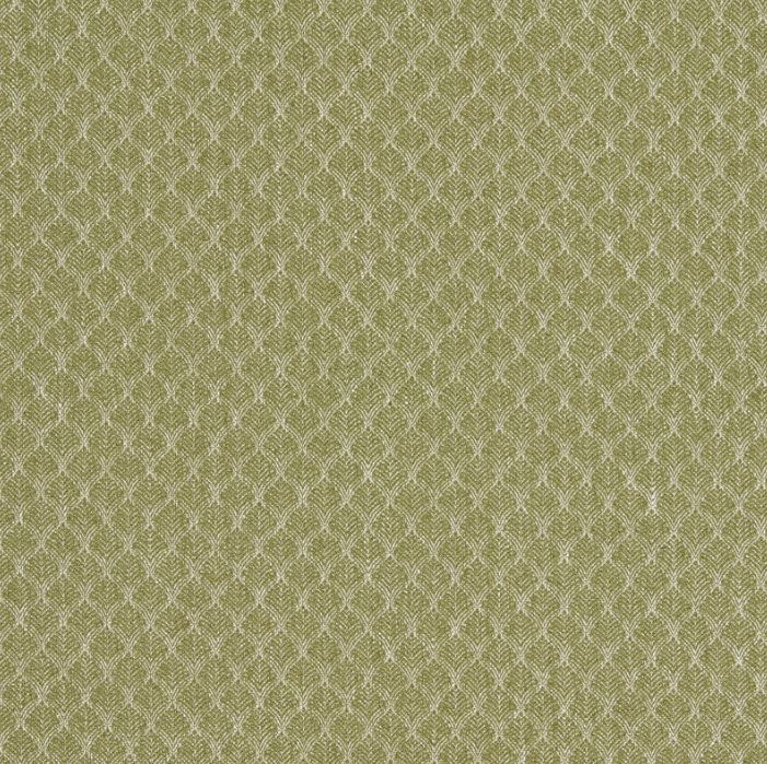 Clarke & Clarke Evora Trelica Olive Fabric