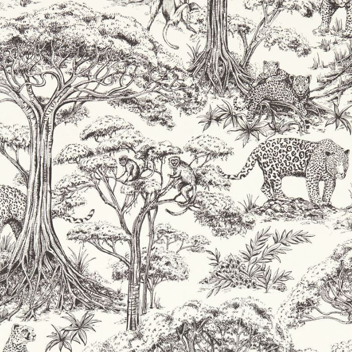 Clarke & Clarke Breegan Jane Kisumu Noir Wallpaper