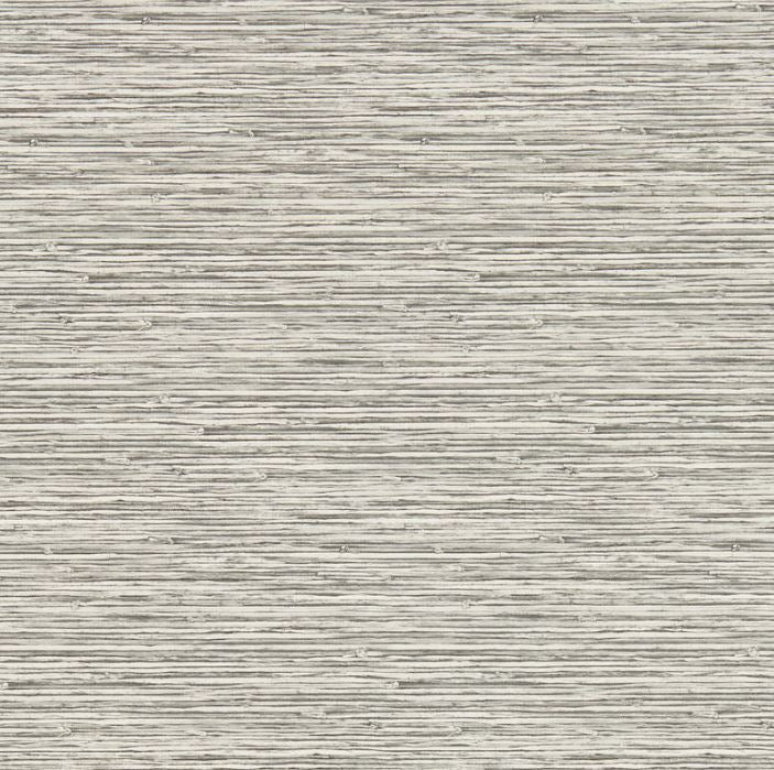 Clarke & Clarke Breegan Jane Xan Dove Wallpaper