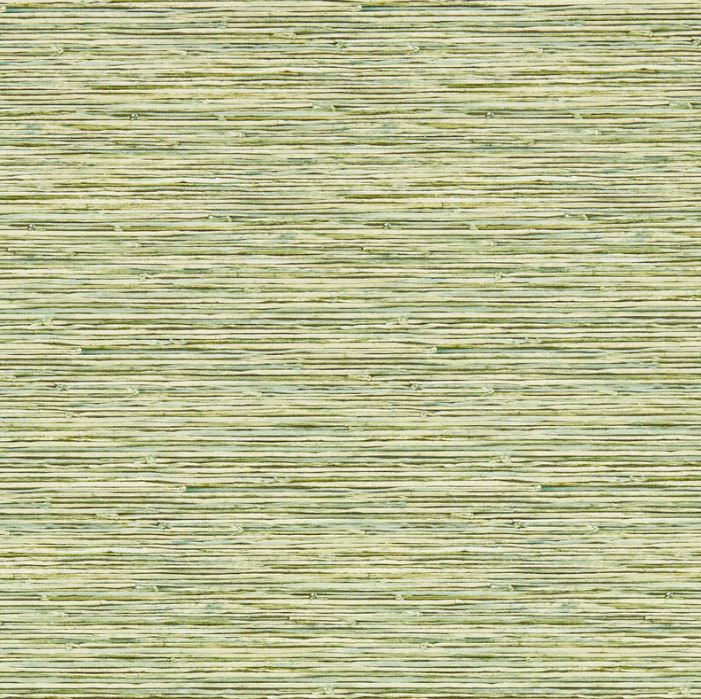 Clarke & Clarke Breegan Jane Xan Palm Wallpaper