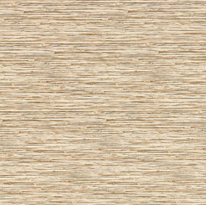 Clarke & Clarke Breegan Jane Xan Sahara Wallpaper