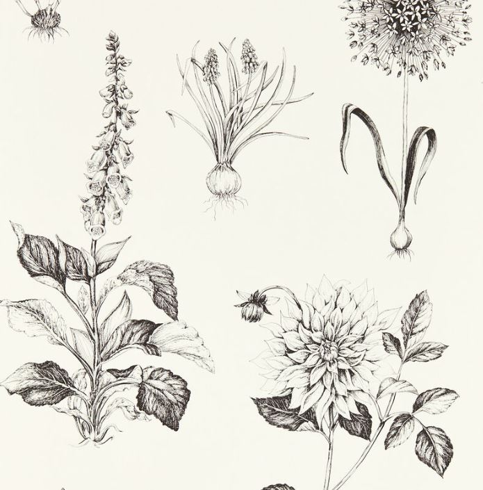 Clarke & Clarke Secret Garden Roseraie Charcoal Wallpaper
