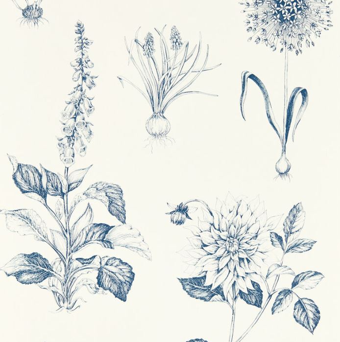 Clarke & Clarke Secret Garden Roseraie Midnight Wallpaper