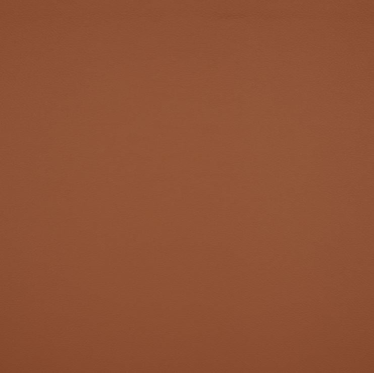 ILIV Nova Stretch Tan FR Fabric