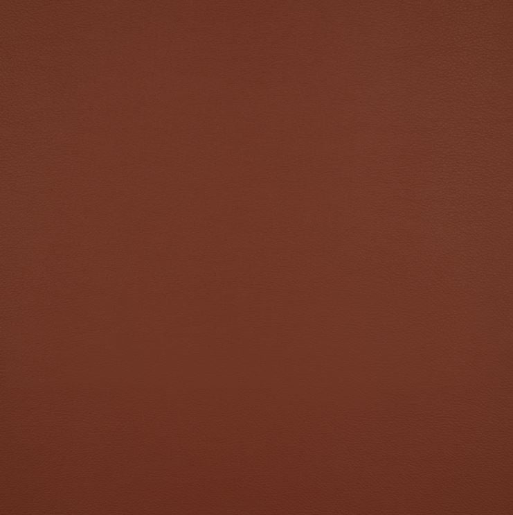 ILIV Nova Stretch Russet FR Fabric