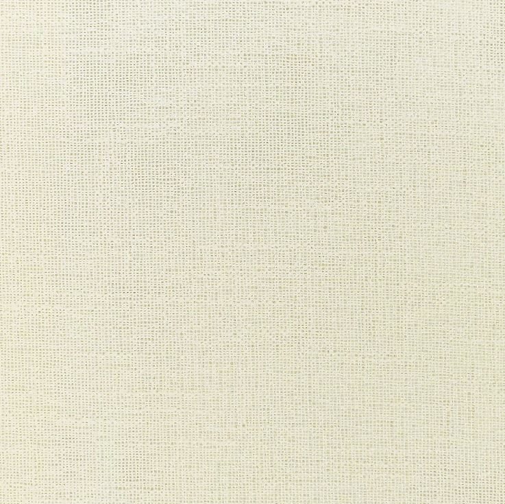 Chatham Glyn Cheer Voile Beige Fabric