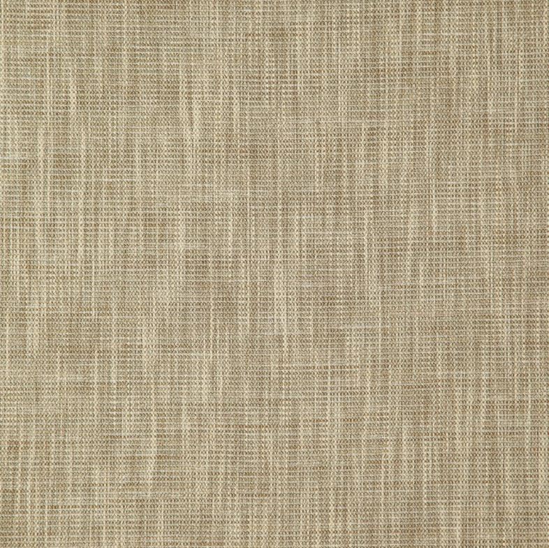 Wemyss Quasar Lacerta Biscuit Fabric