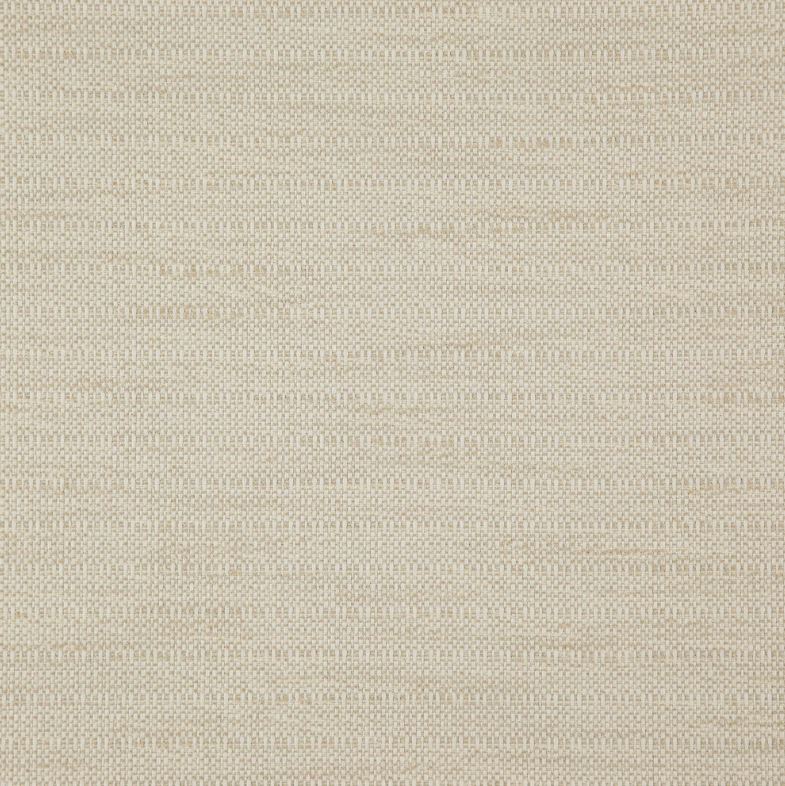 Wemyss Quasar Octans Raffia Fabric