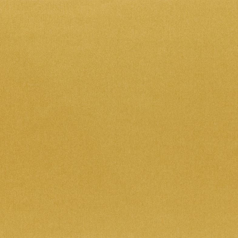 Iliv Plains & Textures Tundra Ochre Fabric