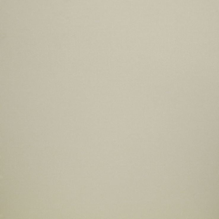 Iliv Plains & Textures Tundra Almond Fabric