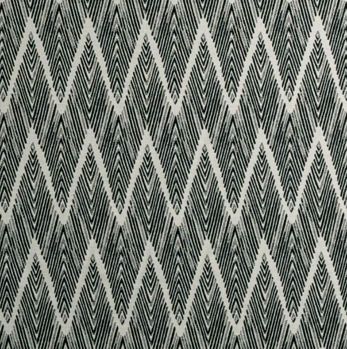 Clarke & Clarke Metropolitan Holzer Noir Fabric