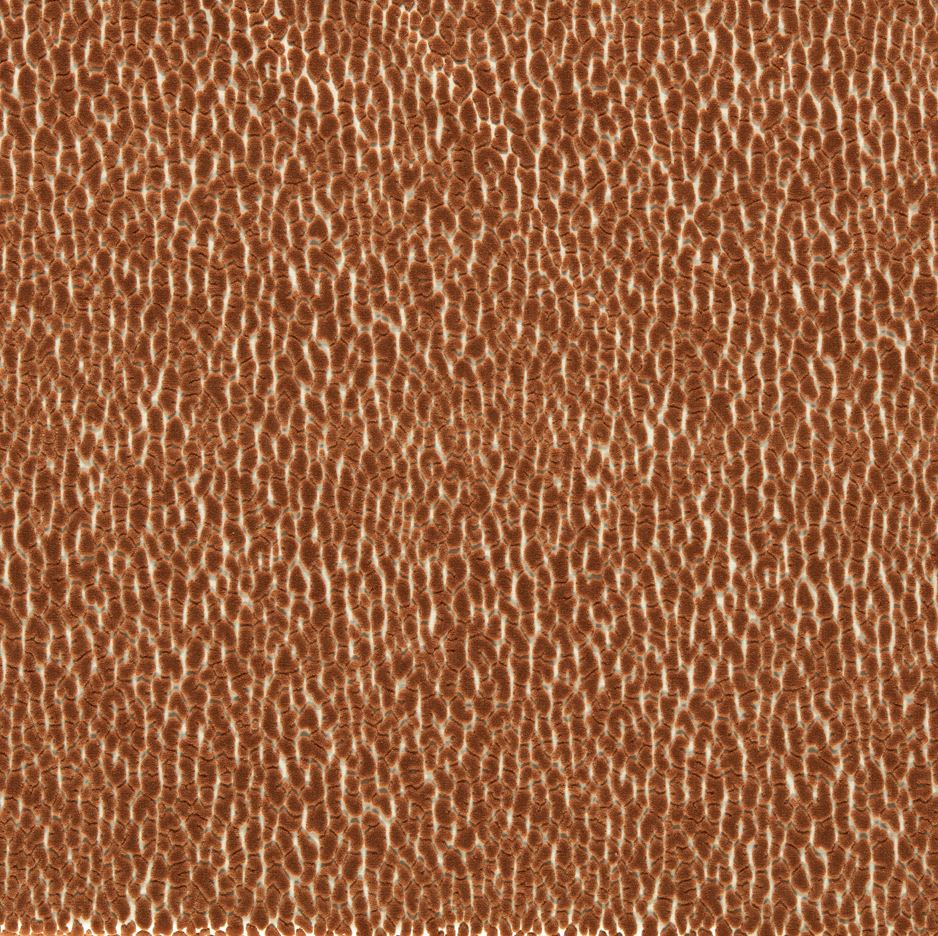 Harlequin Reflect Velvets Lacuna Tiger Fabric