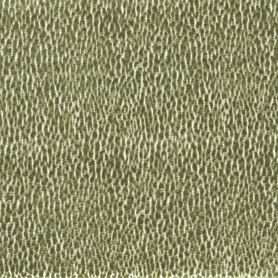 Harlequin Reflect Velvets Lacuna Kelly Fabric